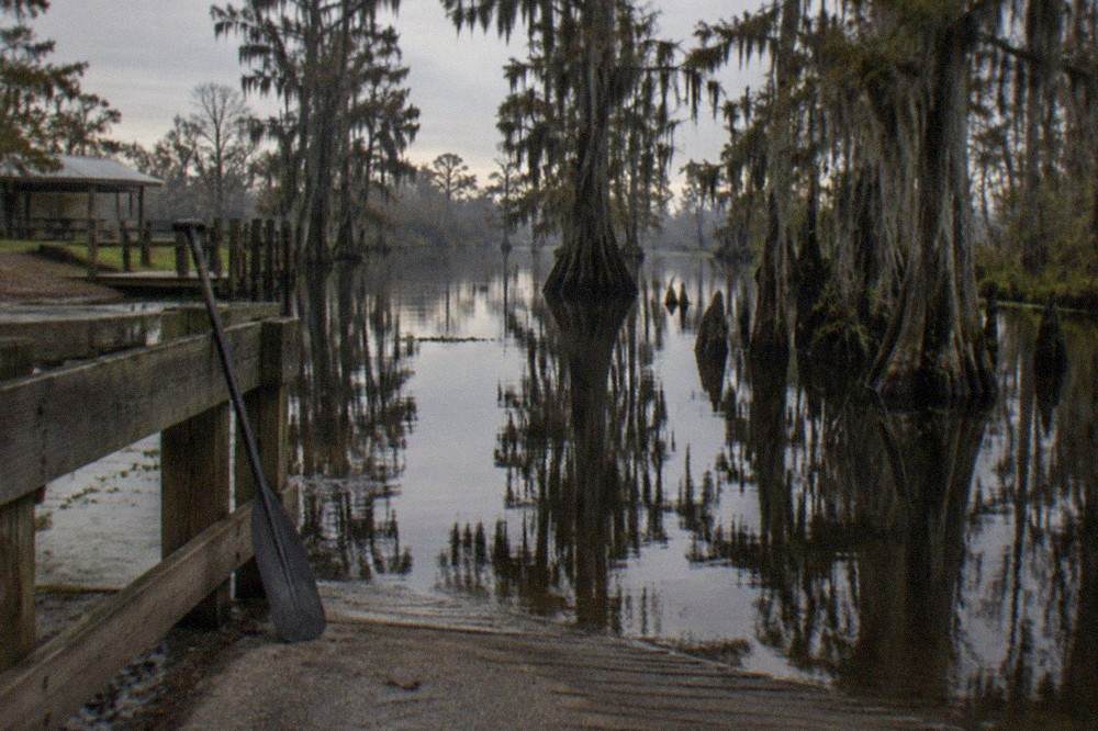 Cypress trees and their reflections in dark swamp water along a quiet bayou channel