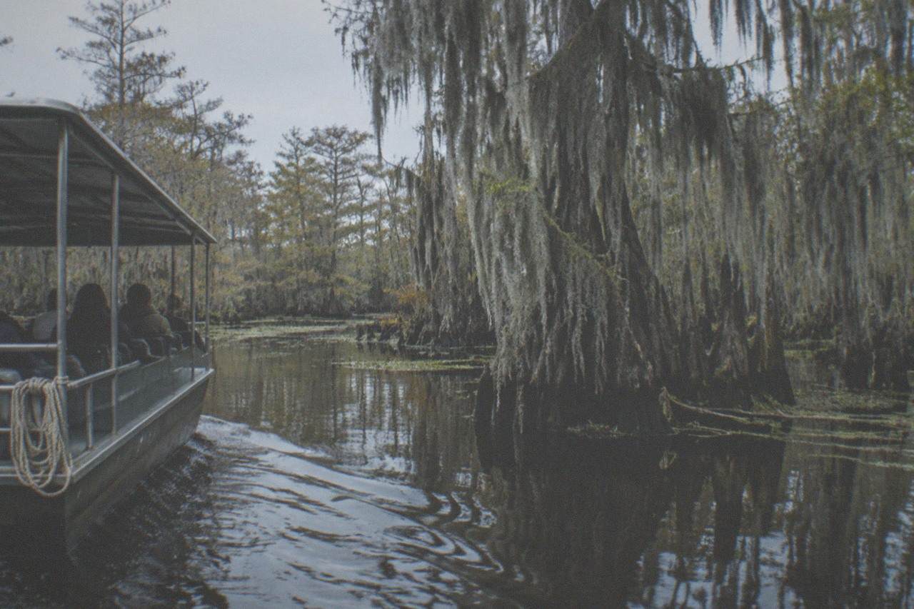 A covered boat moving past cypress trees draped in Spanish moss on a dark Louisiana swamp