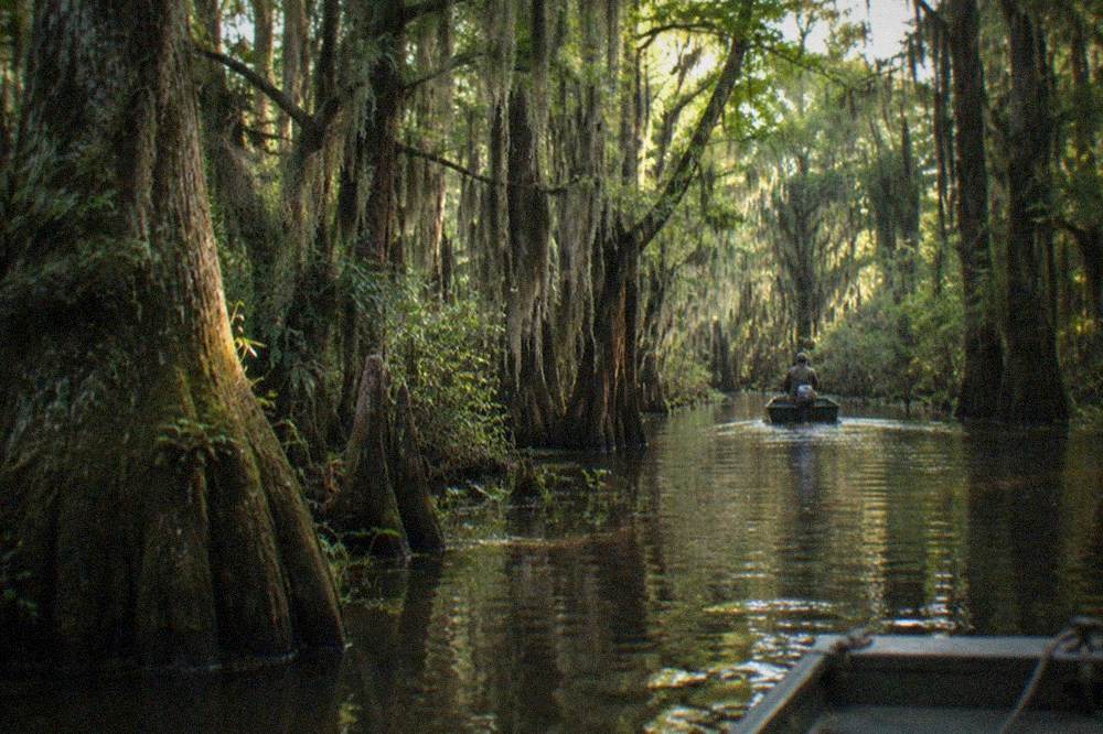 Dense flooded forest with moss-draped trees closing over a narrow water channel