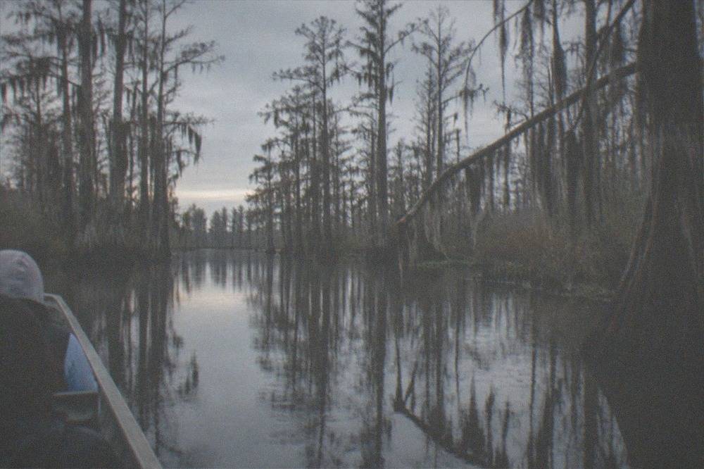 a swamp channel at dusk with bare cypress trees reflected in still dark water