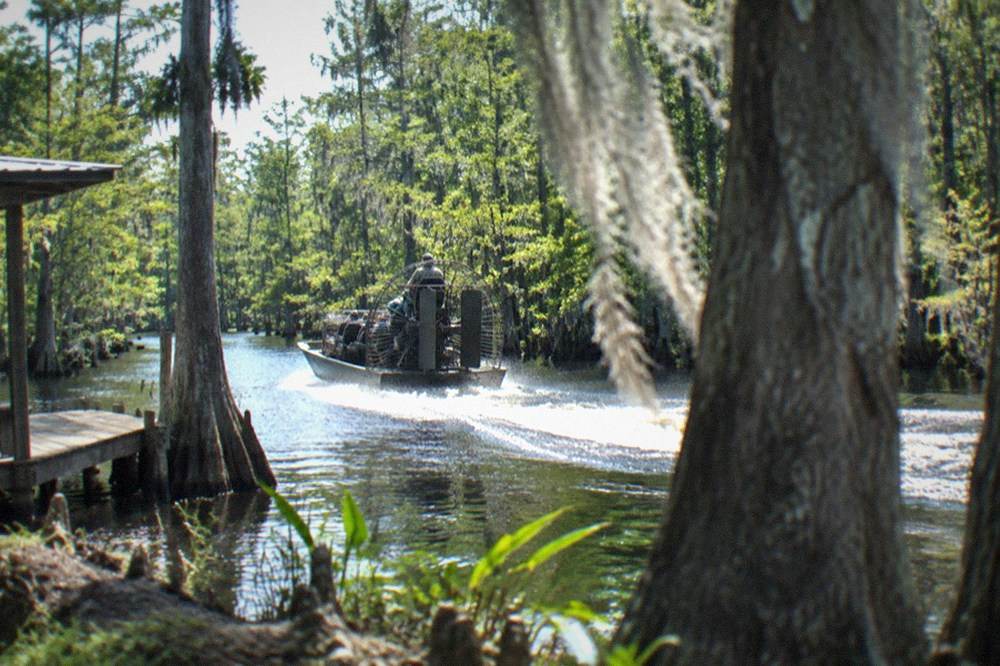 a small airboat cutting a wake through narrow cypress channels