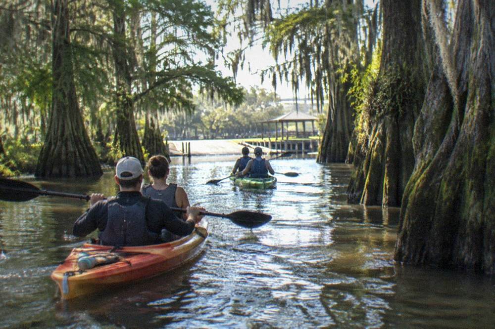 Kayaks floating between moss-covered cypress trunks in a quiet swamp channel