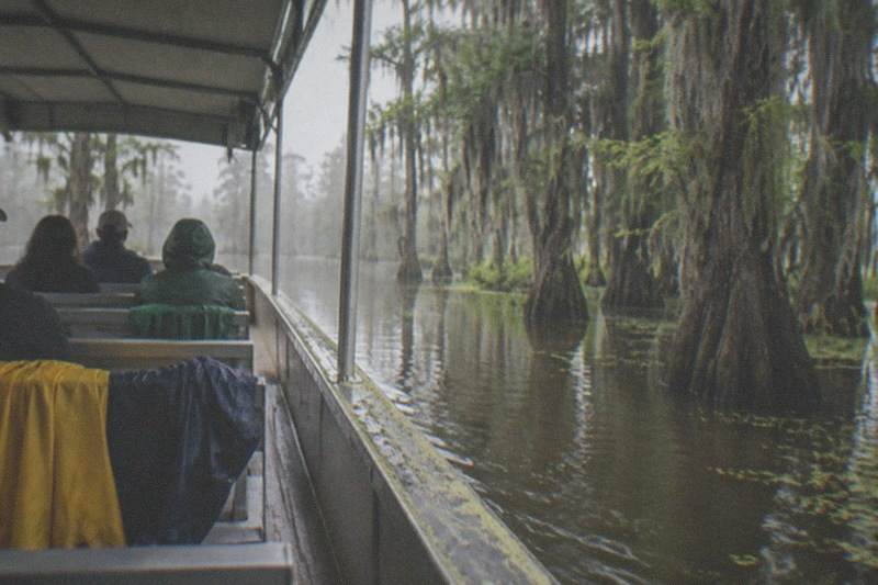 Covered pontoon boat gliding down a Louisiana bayou under moss-draped cypress