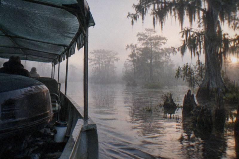 Swamp boat on a bayou, the morning half of a Louisiana plantation and swamp day trip