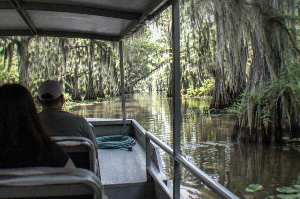 A covered pontoon swamp tour boat gliding past cypress trees on a narrow Louisiana bayou