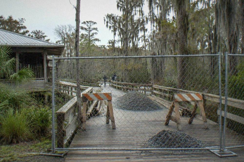 Construction barrier across a swamp boardwalk with cypress trees beyond
