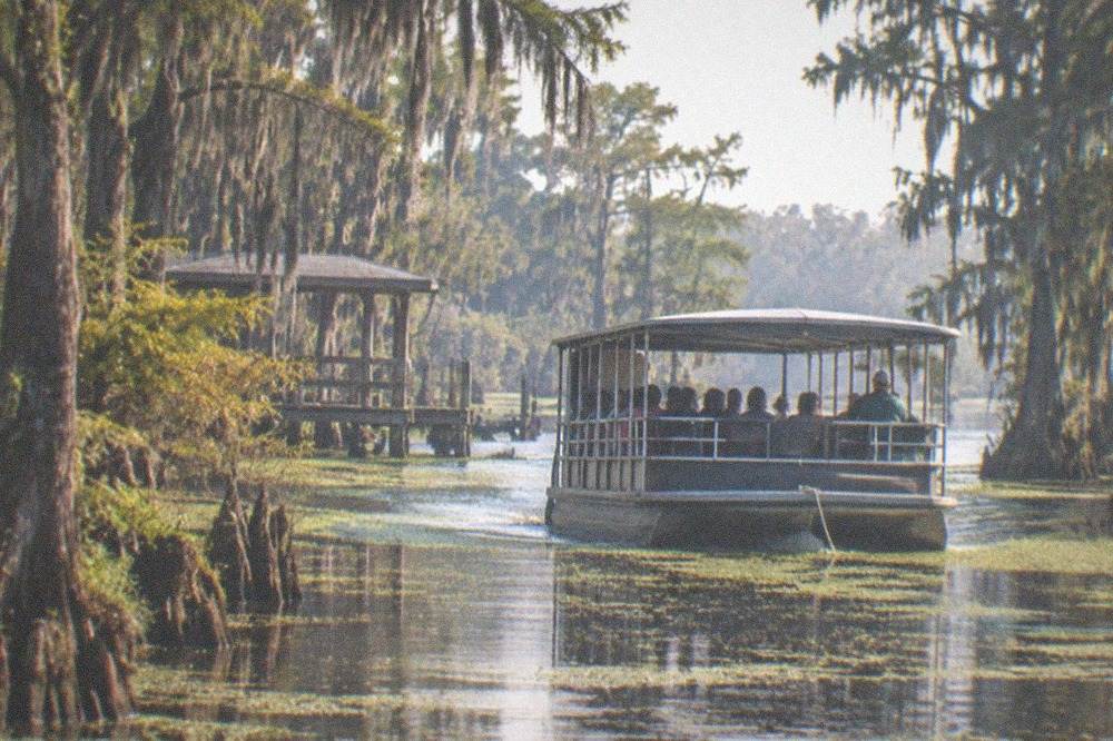 Covered pontoon boat moving through a narrow swamp channel lined with cypress