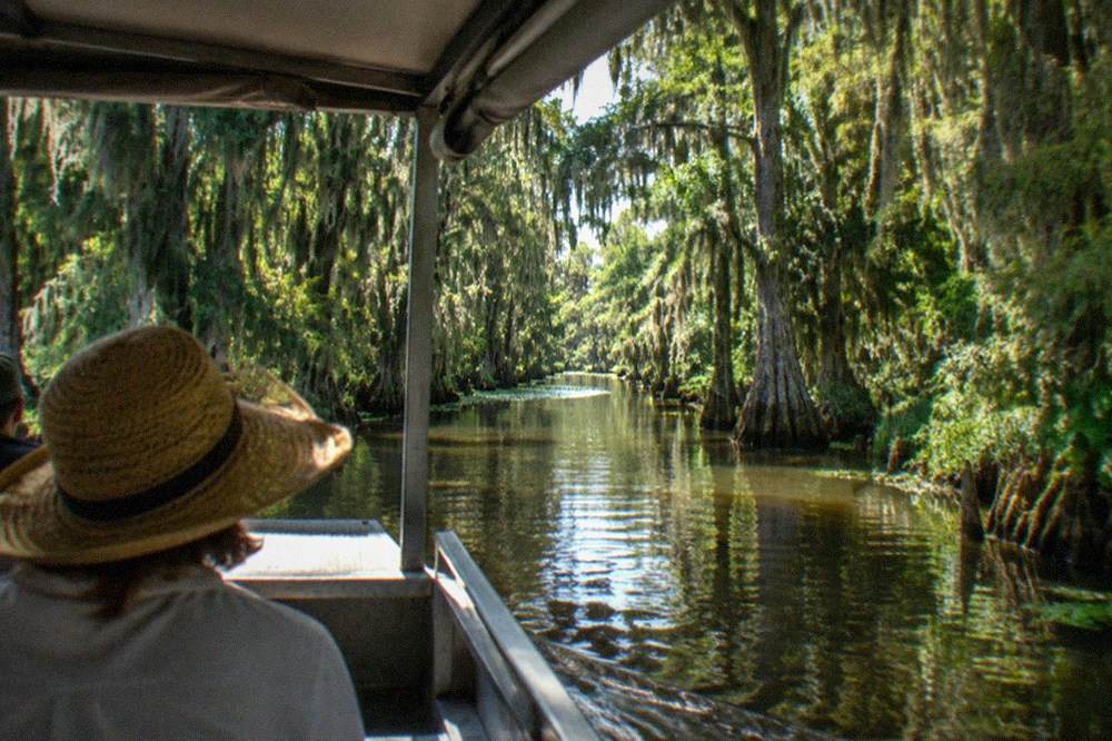 A covered pontoon boat cruising down a narrow tree lined bayou at Honey Island Swamp
