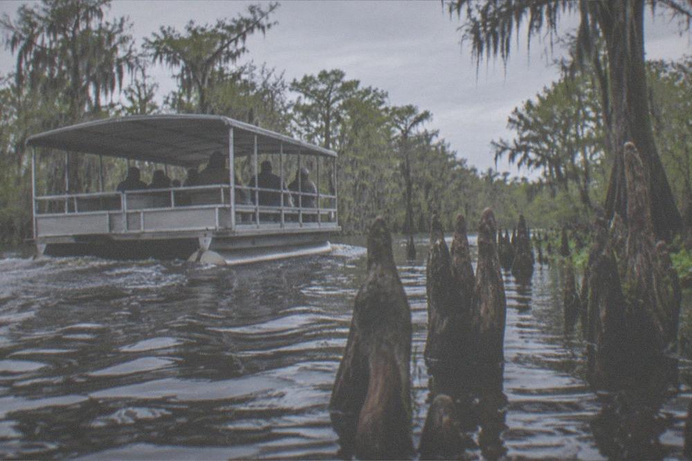 A covered pontoon boat passing close to cypress knees rising from dark swamp water