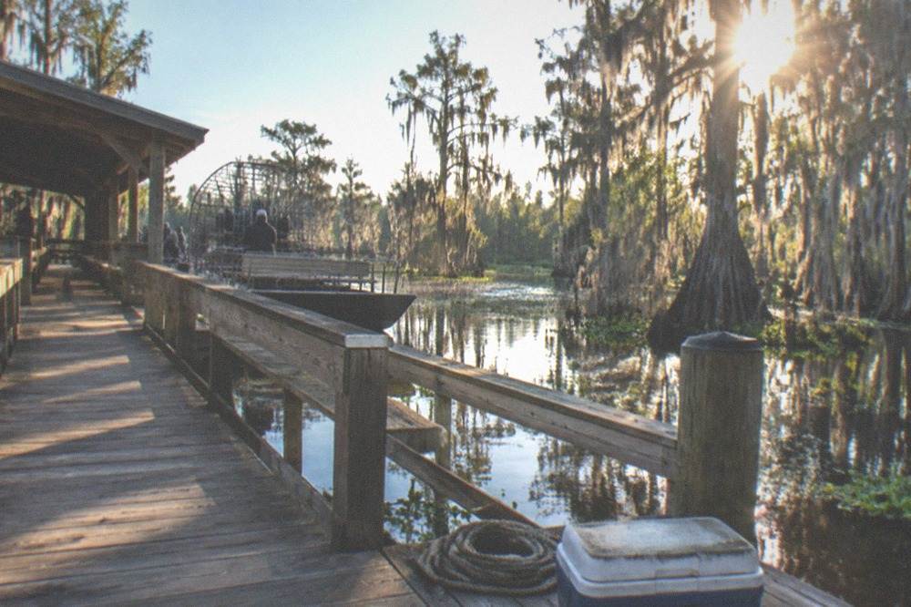 A wooden walkway and dock area at a swamp launch with cypress trees and bright morning light