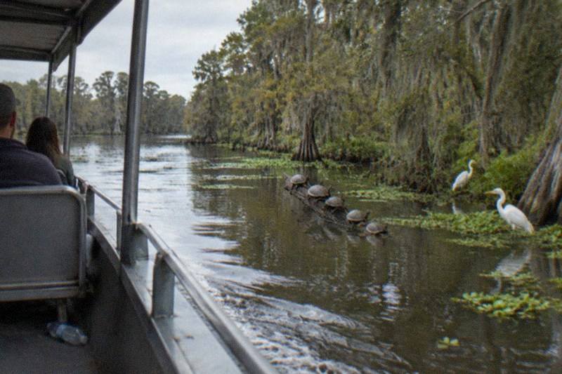 Budget Bayou Boat, Pickup Included
