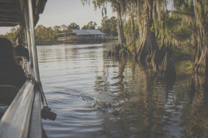 Gray Line Alligator Boat Tour