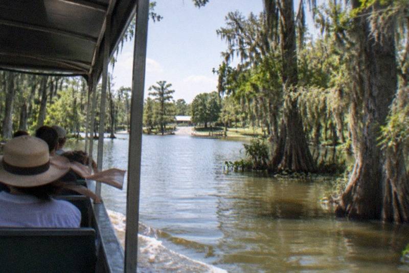 Swamp and Oak Alley, Full Day