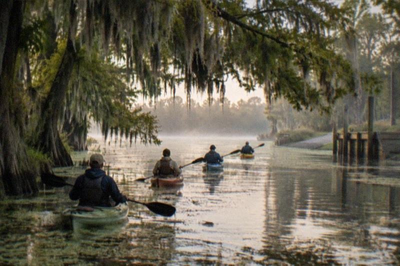 4-Hour Small-Group Wildlife Kayak